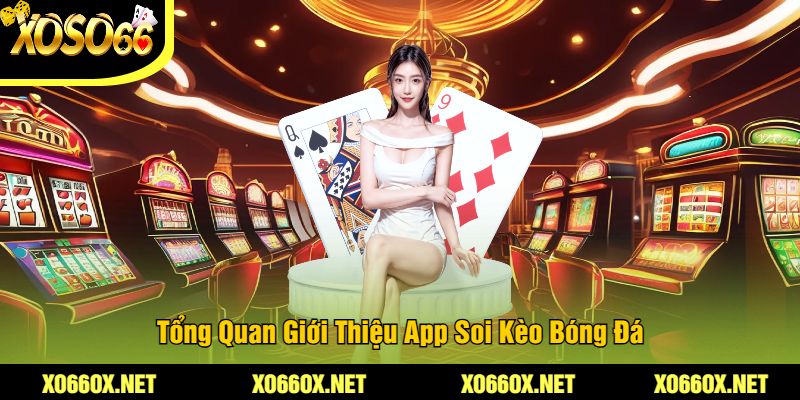 Tong-Quan-Gioi-Thieu-App-Soi-Keo-Bong-Da
