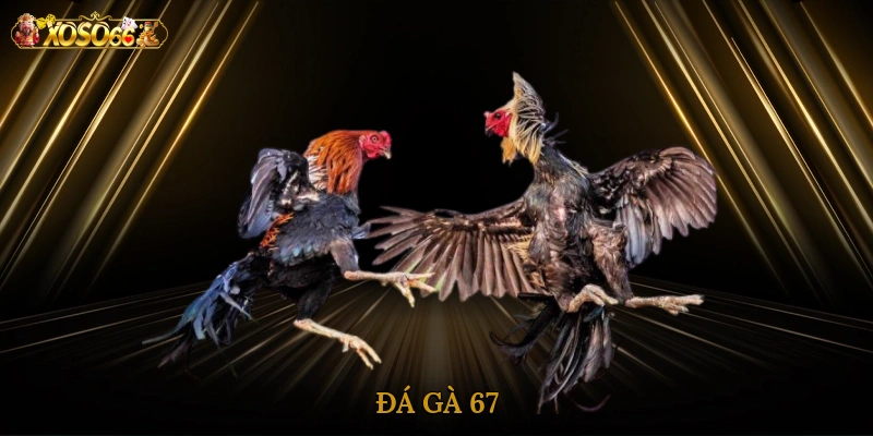 da-ga-67-3