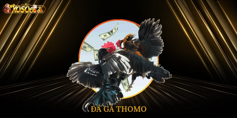 da-ga-thomo-1