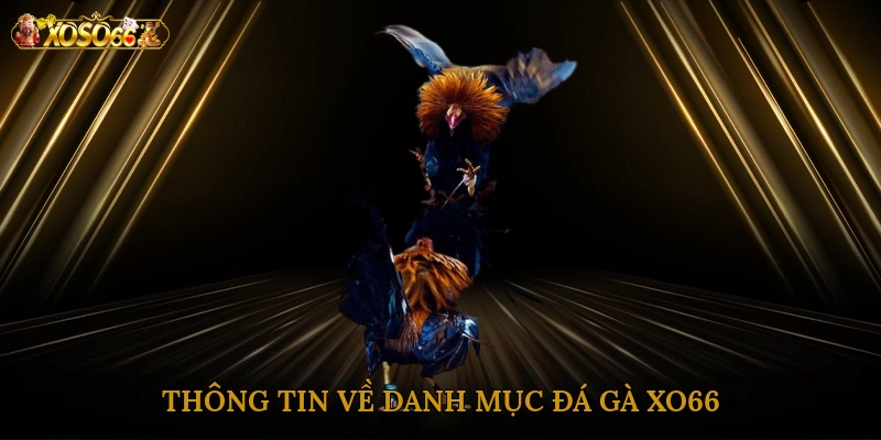 thong-tin-ve-danh-muc-da-ga-xo66-1